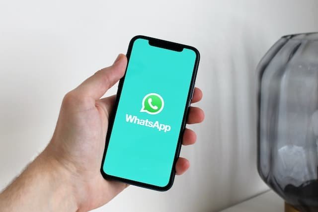 WhatsApp business