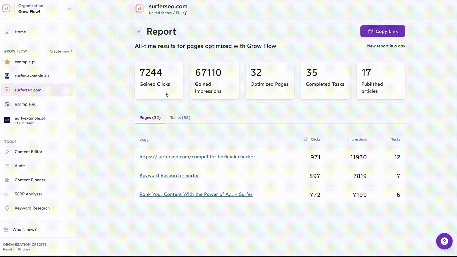 Snapshot of Surfer SEO’s report.